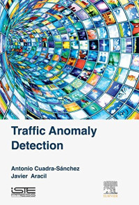 Image of Traffic Anomaly Detection